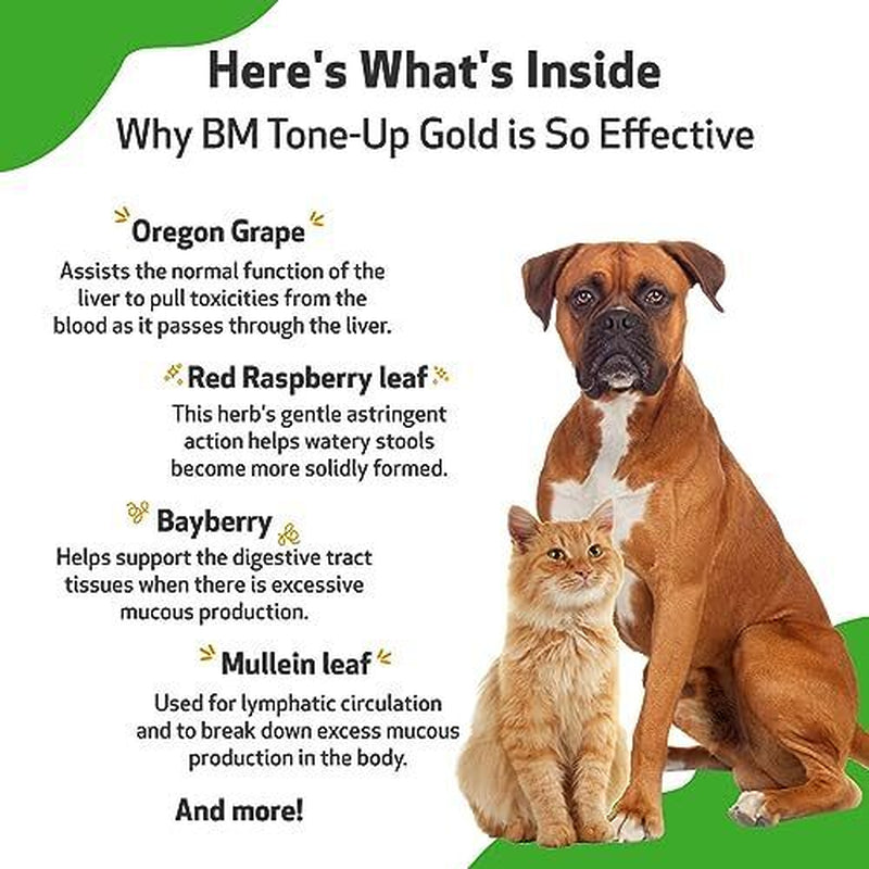 Vet-Formulated BM Tone-Up Gold for Dogs & Cats - Relief for Diarrhea