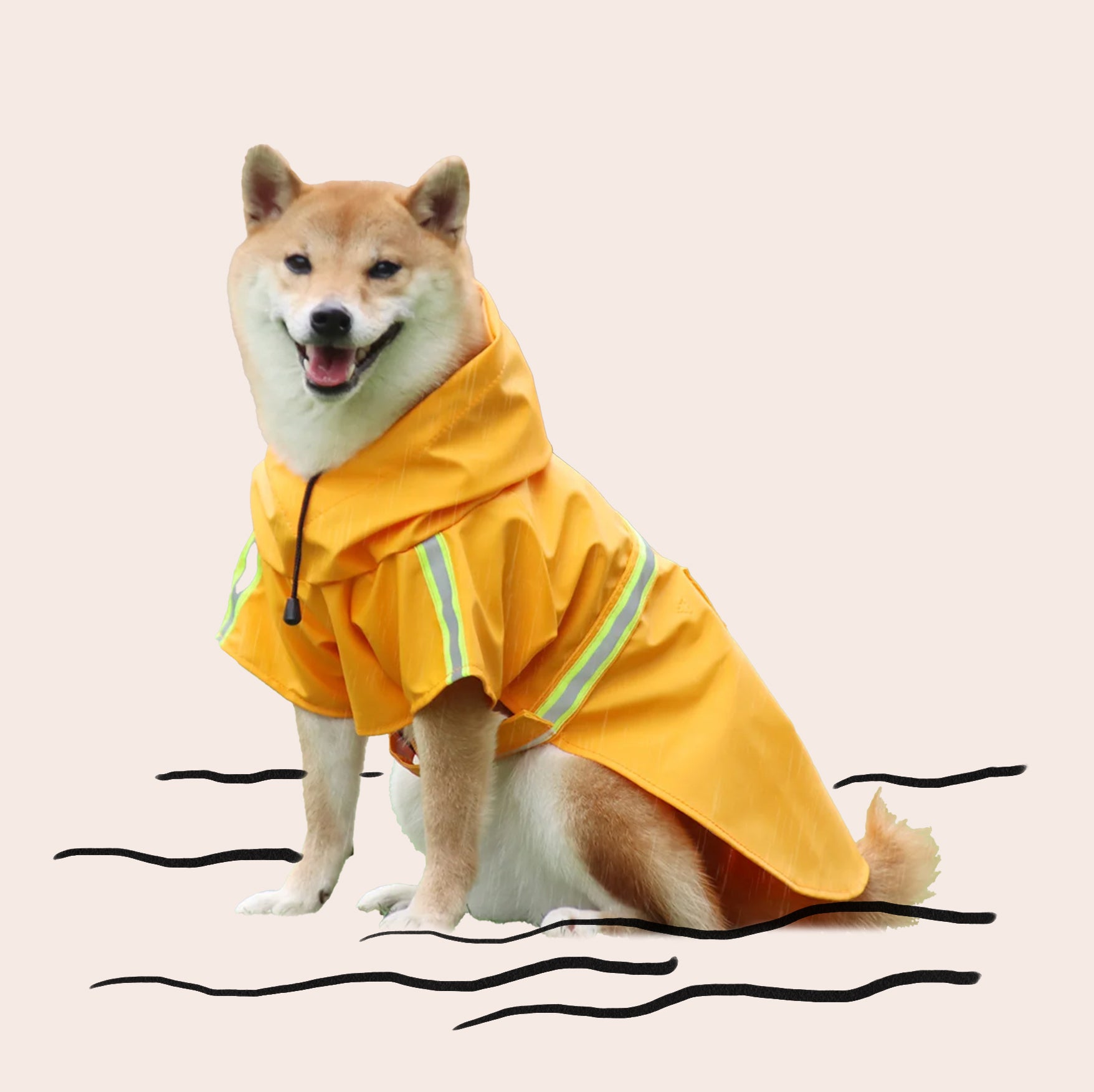 Rainaway Dog Raincoat