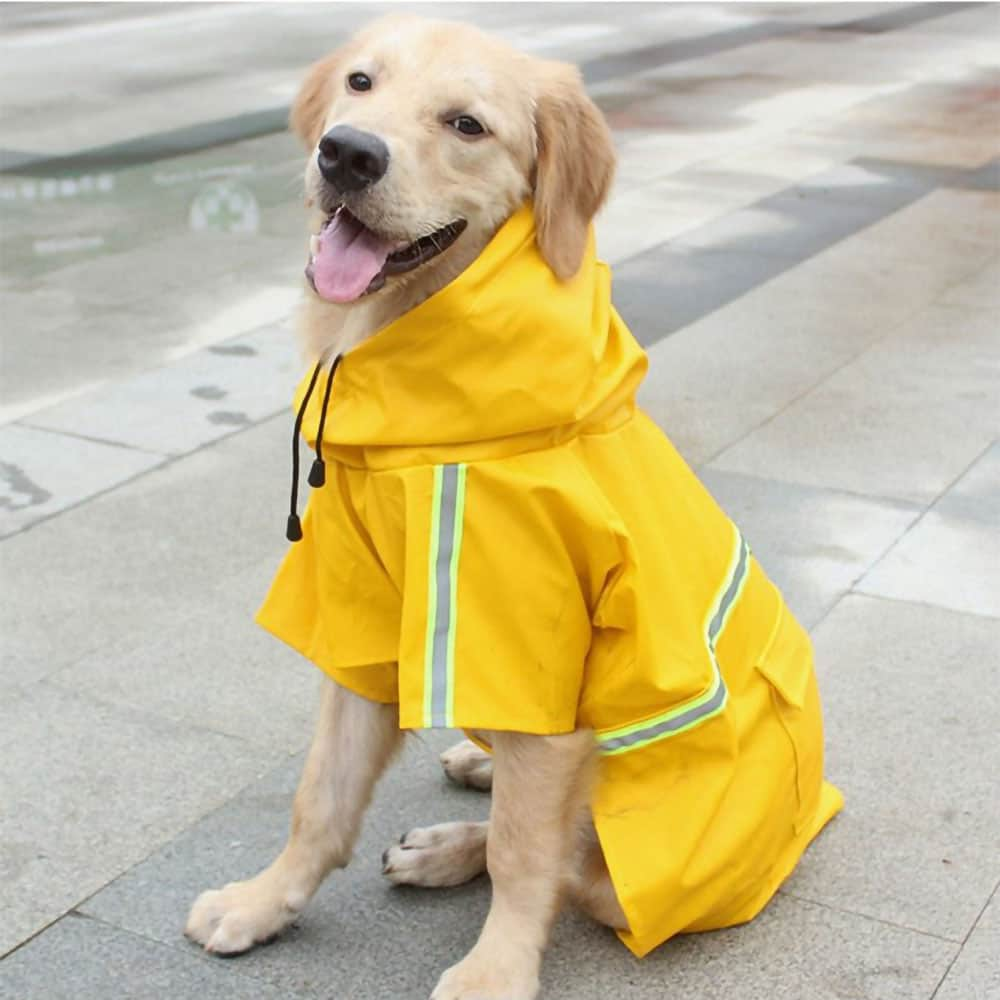 Rainaway Dog Raincoat