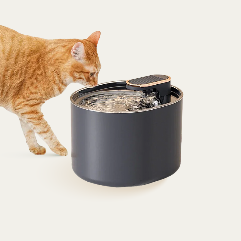 Premium Cat Fountain