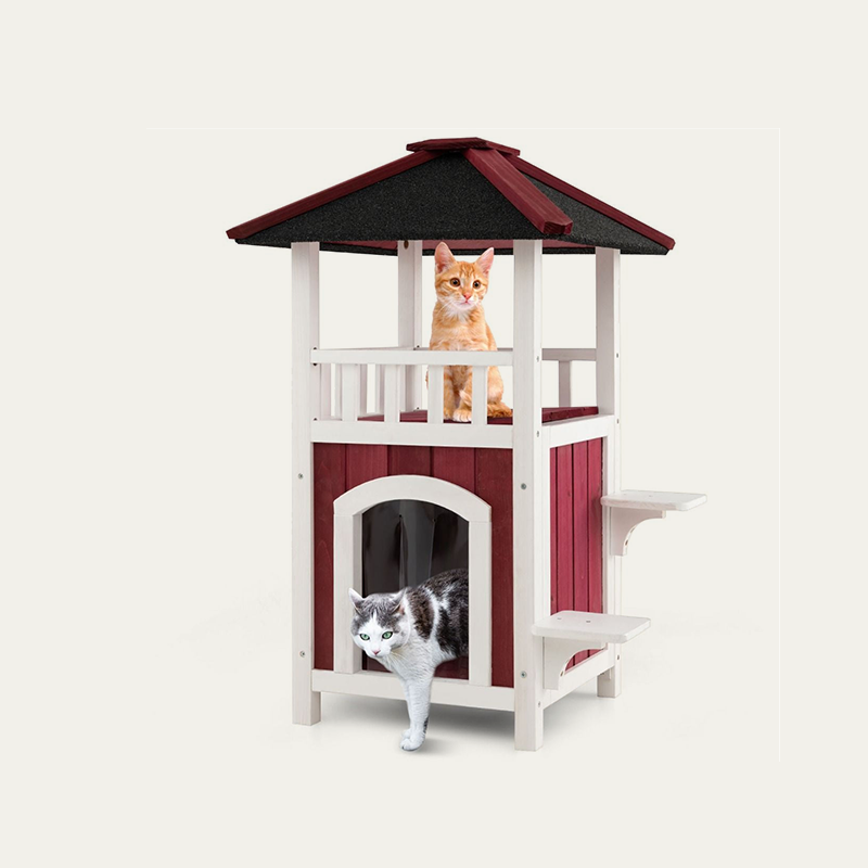 Kitty Condo with Rooftop Lounge