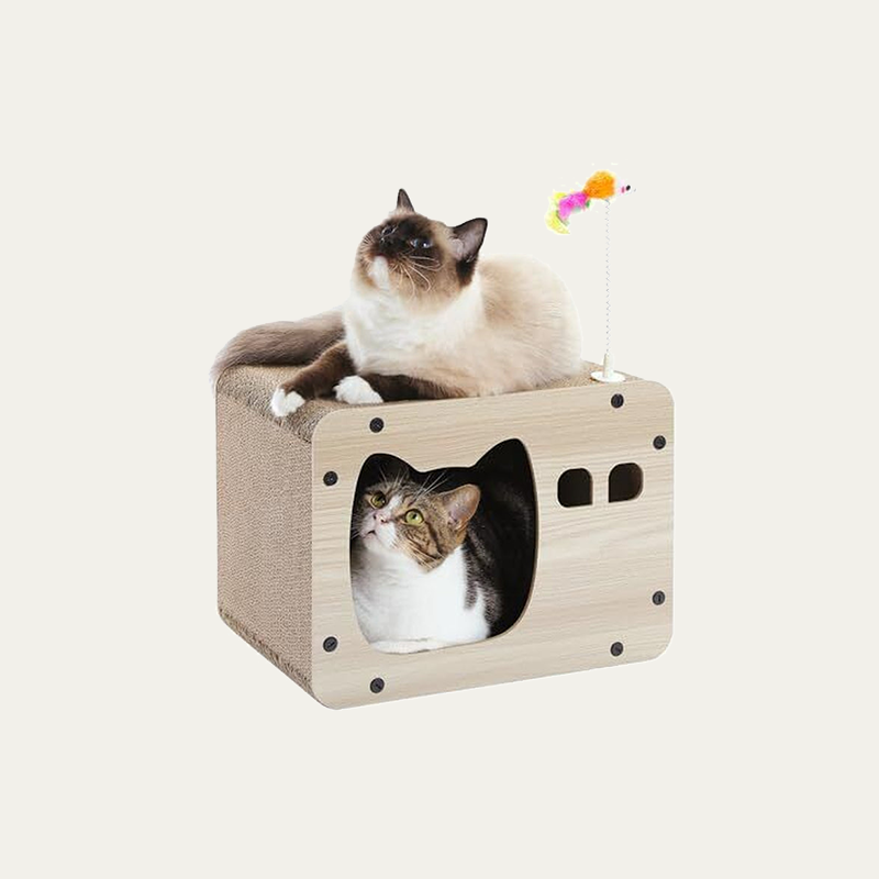 The Destroyer Cat House 