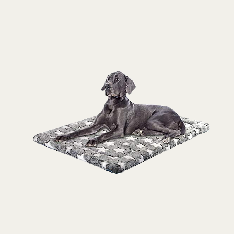 Reversible Cool & Warm  Mat 