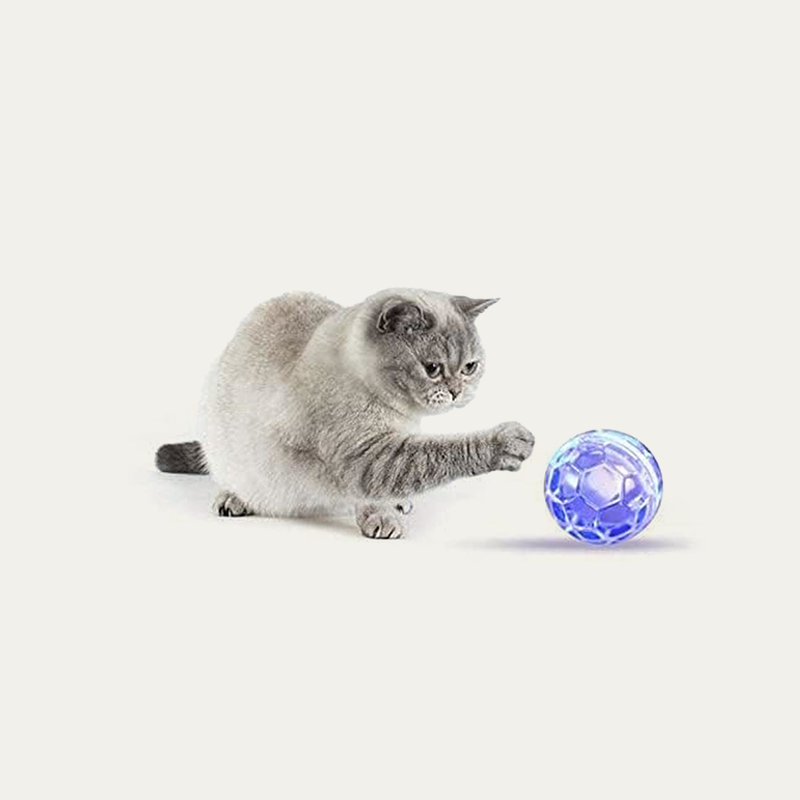 Interactive LED Cat Hunting Balls x5