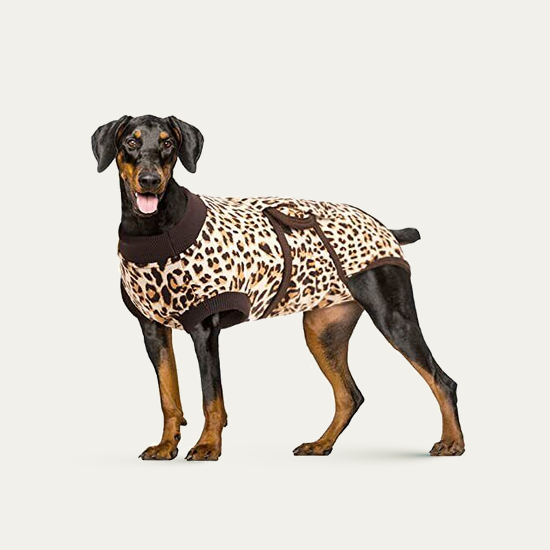 Leopard Print Dog Surgical Recovery Suit