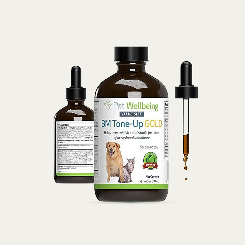 Vet-Formulated BM Tone-Up Gold for Dogs & Cats - Relief for Diarrhea