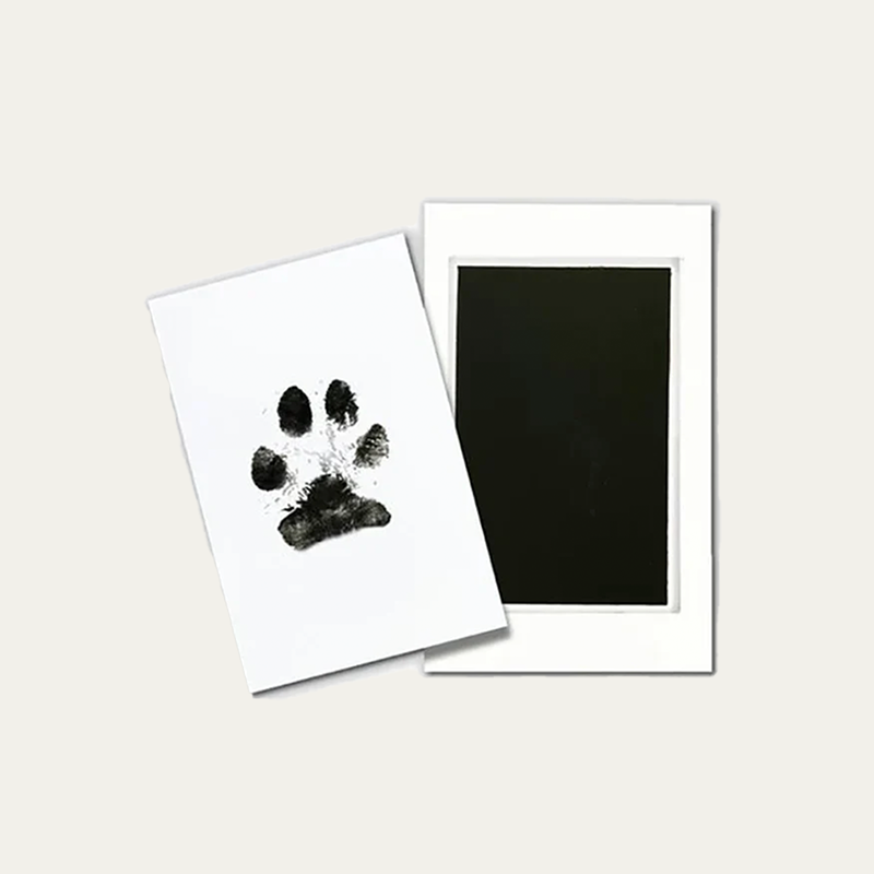 Paw Print Ink Set. Create Lasting Memories 