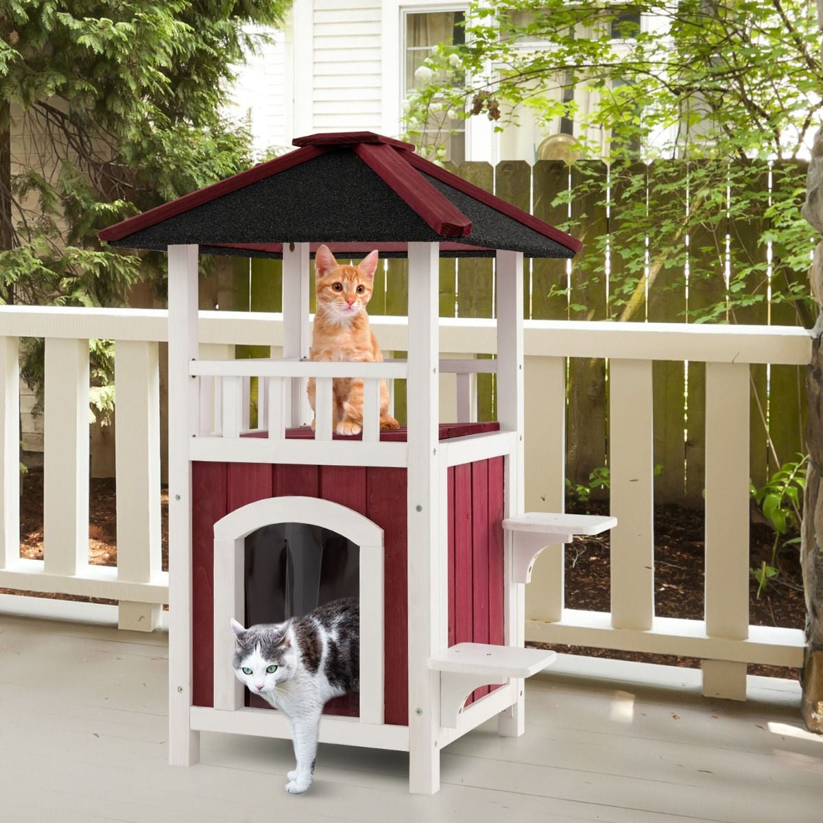 Kitty Condo with Rooftop Lounge