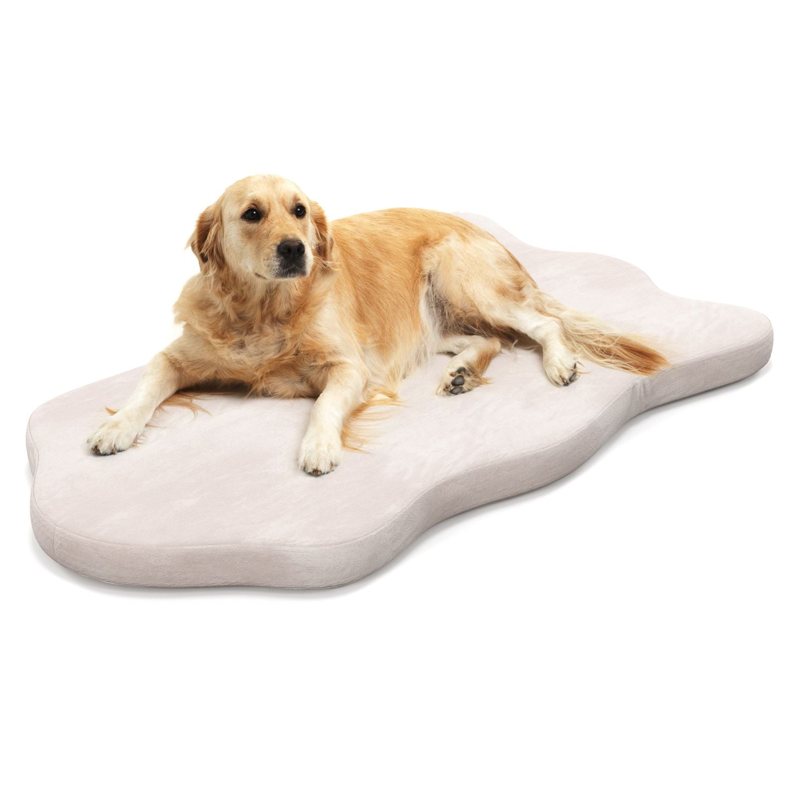 Memory Foam Bed