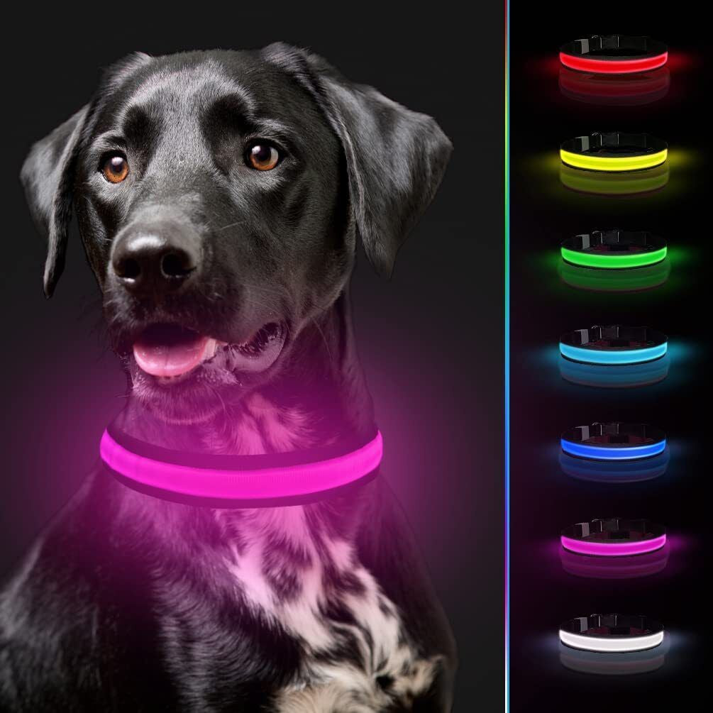 Disco Dog: Your Pup's Glow-in-the-Dark Safety Collar