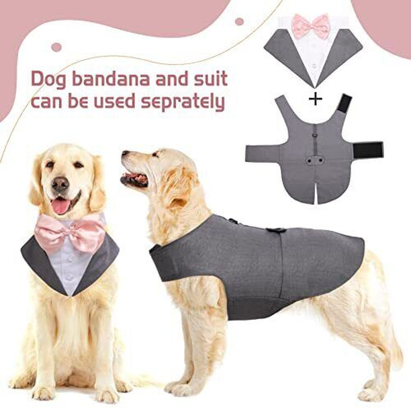 Perfect Wedding Dog Tuxedo