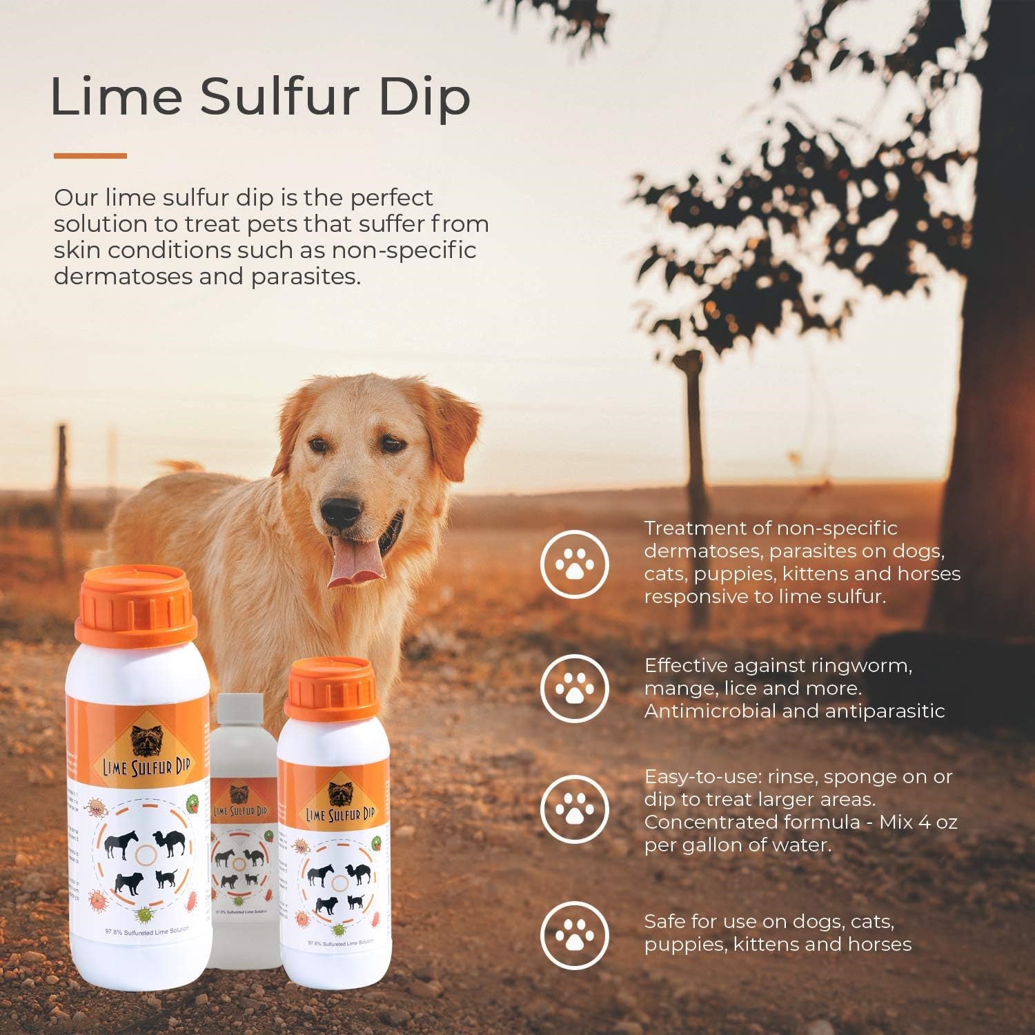 Classic's Lime Sulfur Dip: Powerful Pet Care Treatment for Ringworm - 16 Oz